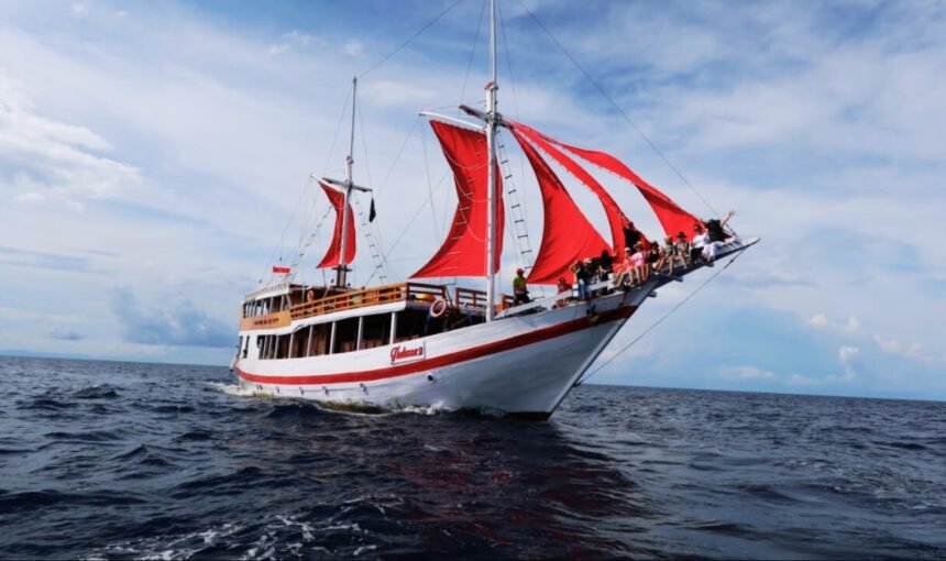 Open Trip vs Private Charter: Which One Should You Choose?