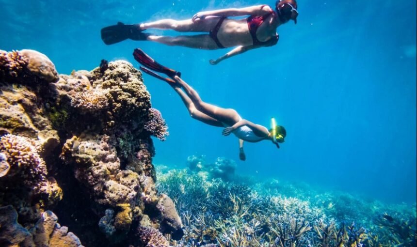 Best Snorkeling Spots in Komodo National Park: A Complete Guide for 2026